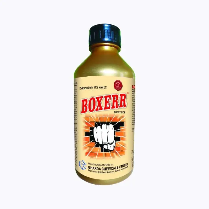 BOXER