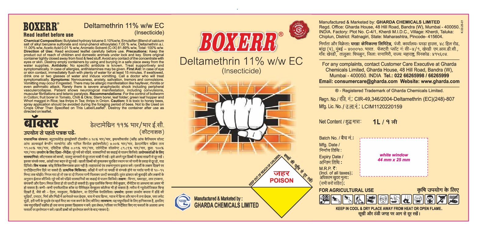 BOXER - Image 3