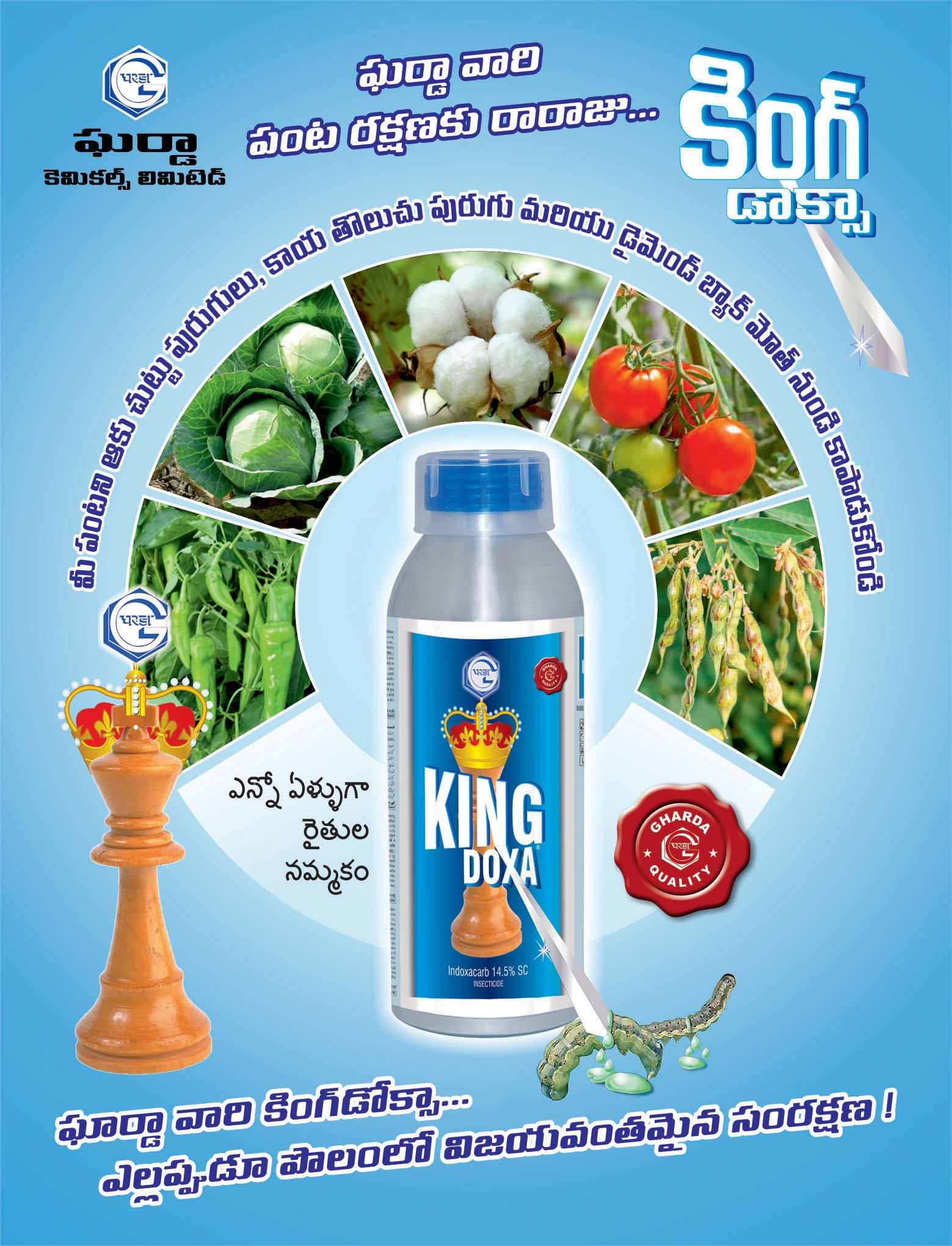 KING DOXA - Image 3