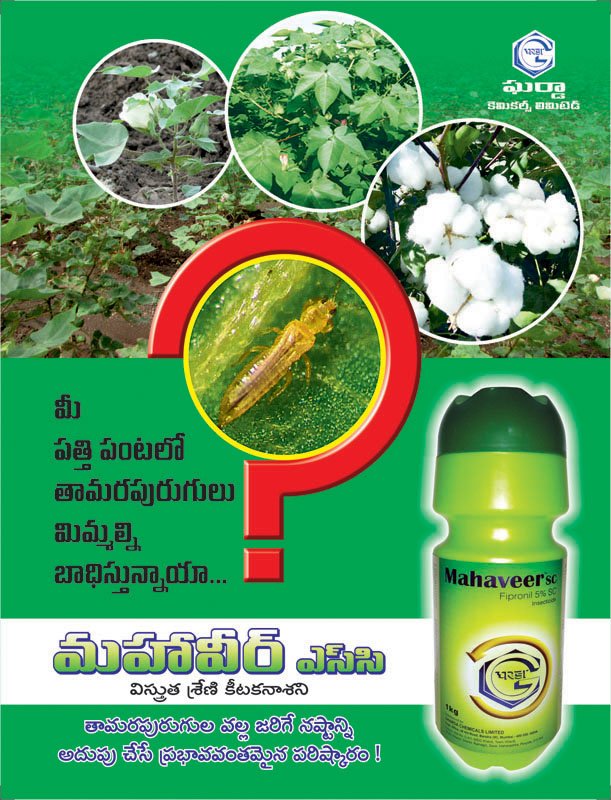 MAHAVEER SC - Image 3