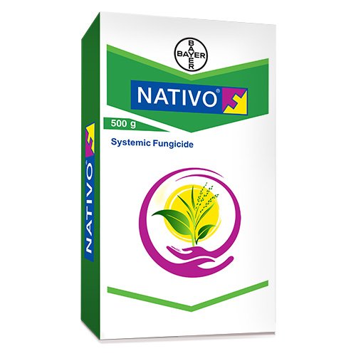 NATIVO