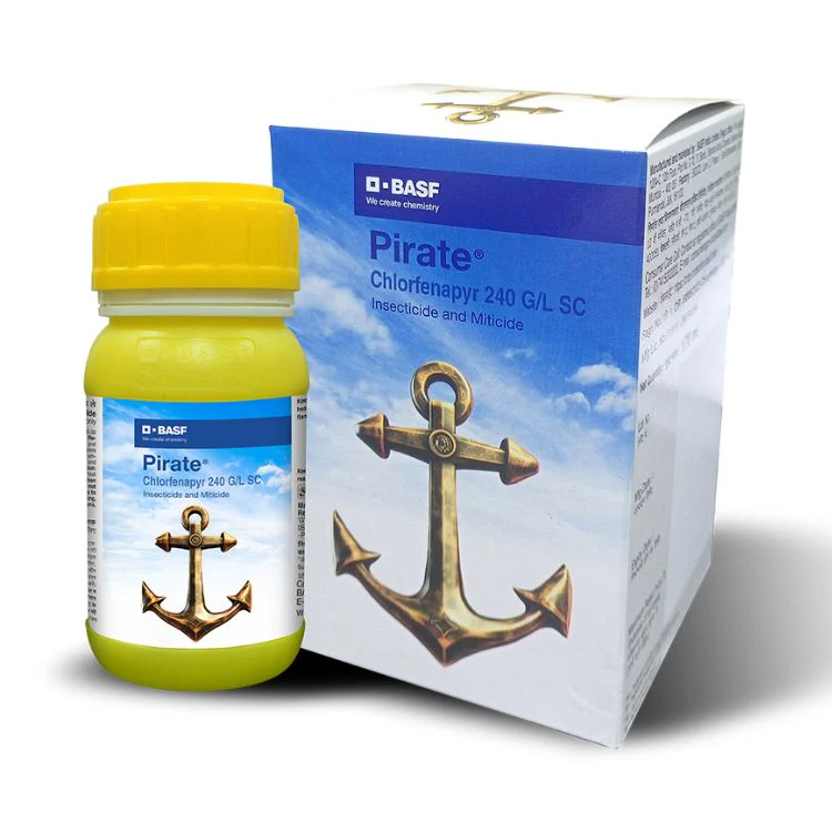 PIRATE - Image 2