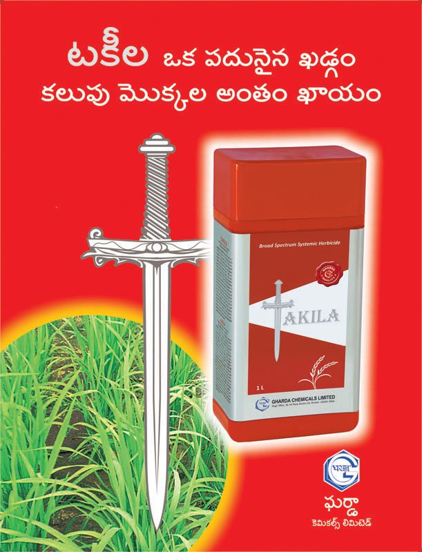 TAKILA - Image 2