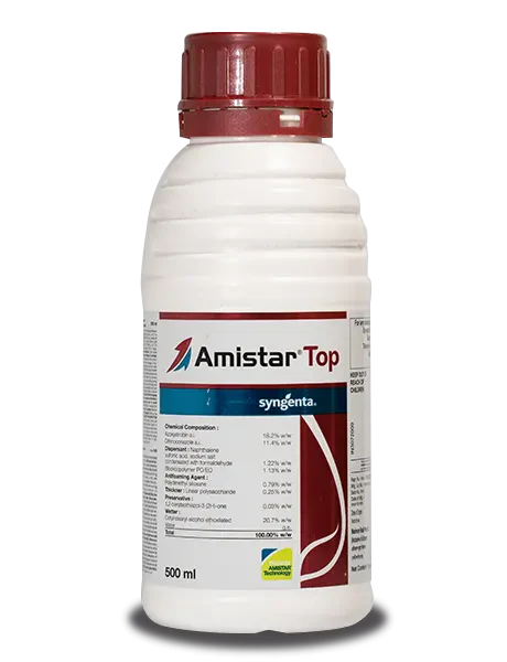 AMISTER TOP
