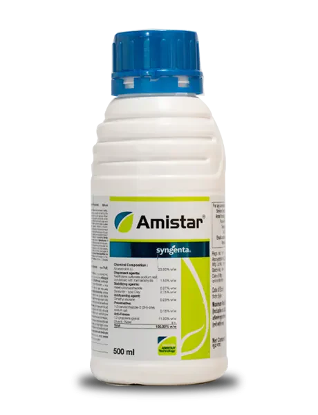 AMISTER