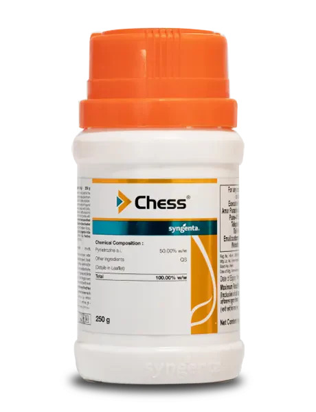 CHESS - Image 2