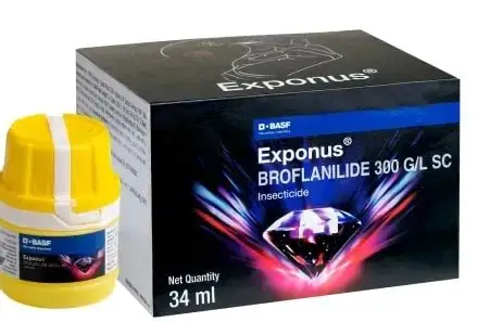 EXPONUS
