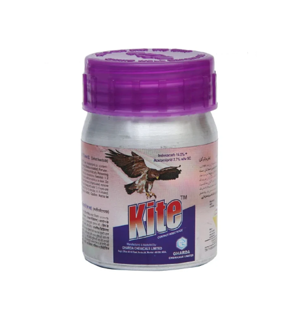 KITE - Image 3