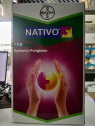 NATIVO - Image 2