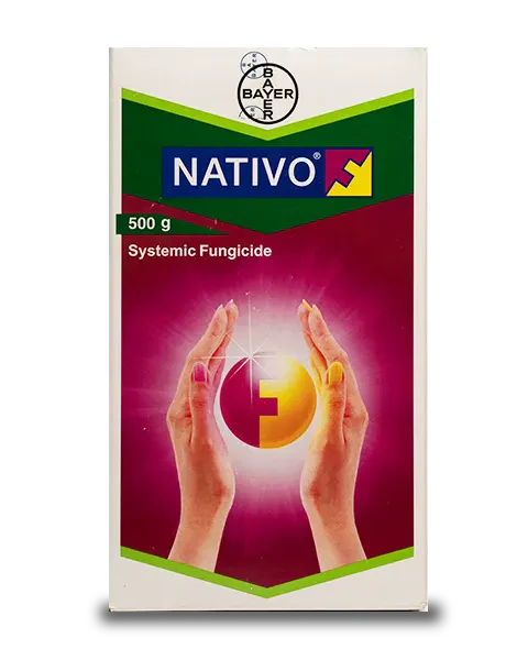 NATIVO - Image 3