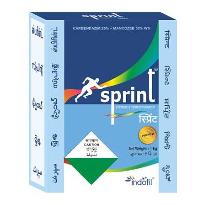 SPRINT