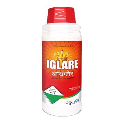 Iglare