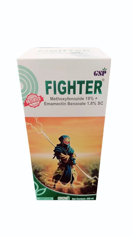 Fighter
