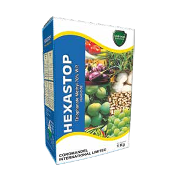Hexastop coromandal