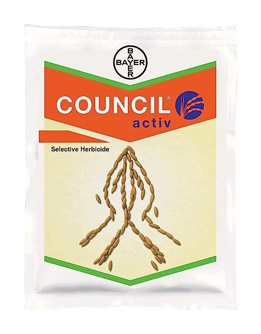 Council Active