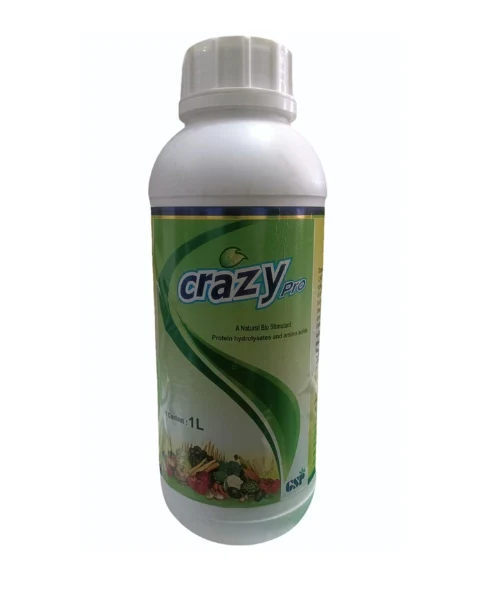 crazy pro