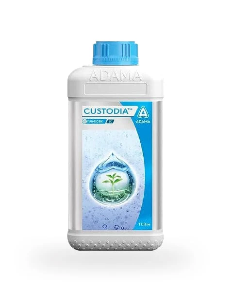 Custodia