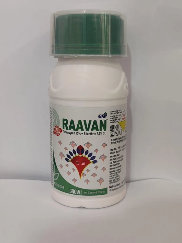 Raavan